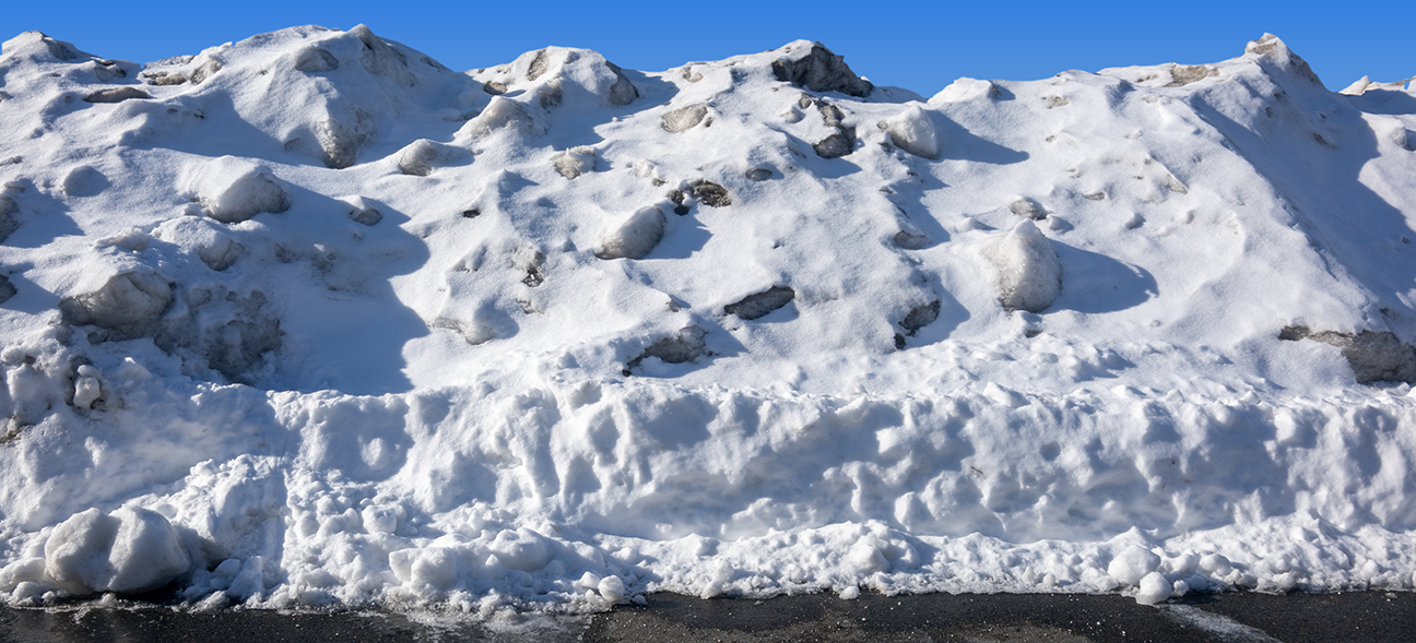 Snow Wellington 2.27.26_6422.png