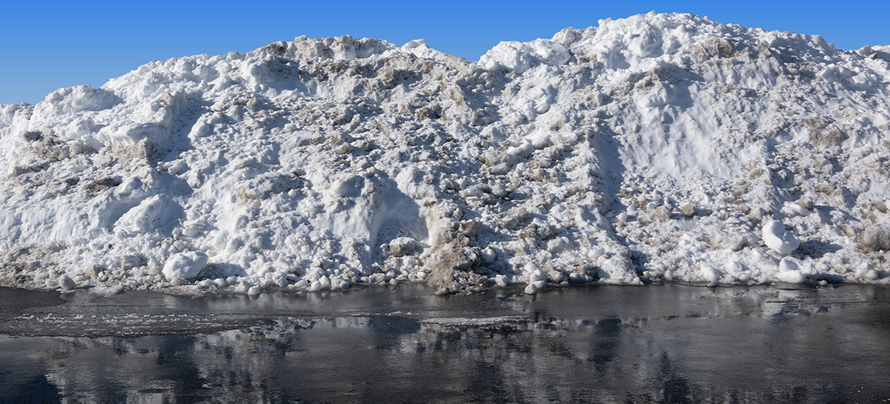 Snow Wellington 2.27.26_6426.png