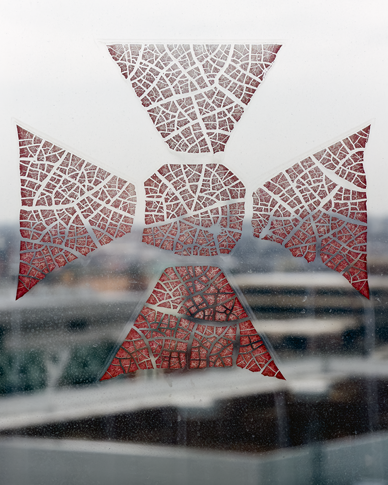 Hotel Baltimore 3.5.26_2457.png