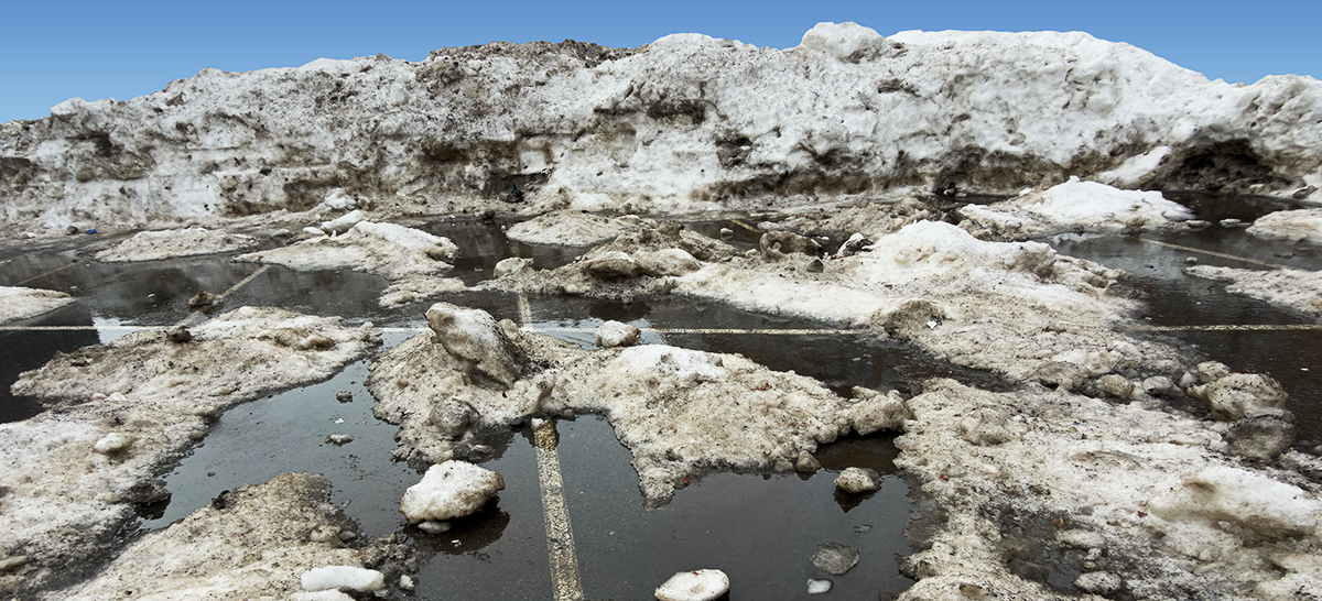 Snow SOWA 3.8.26_2675 web.png