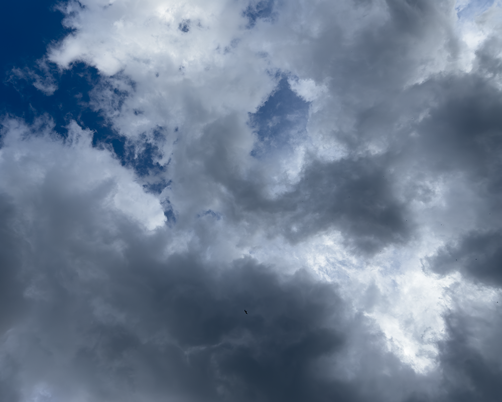 SKIES 6.13.26_4334.png