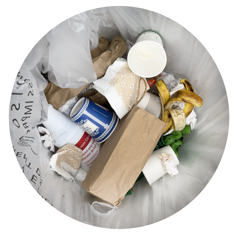 Trash NY 8.20.26_0330.png