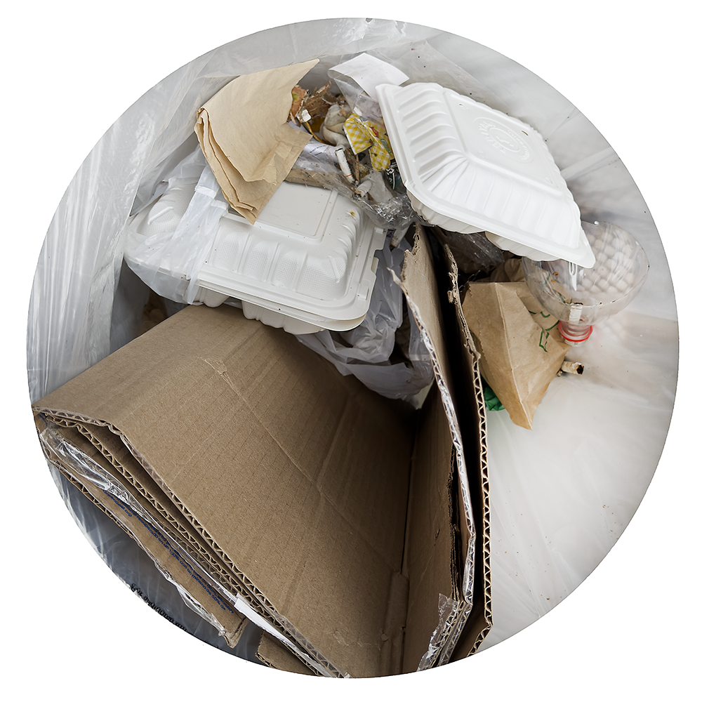 Trash NY 8.20.26_0331.png