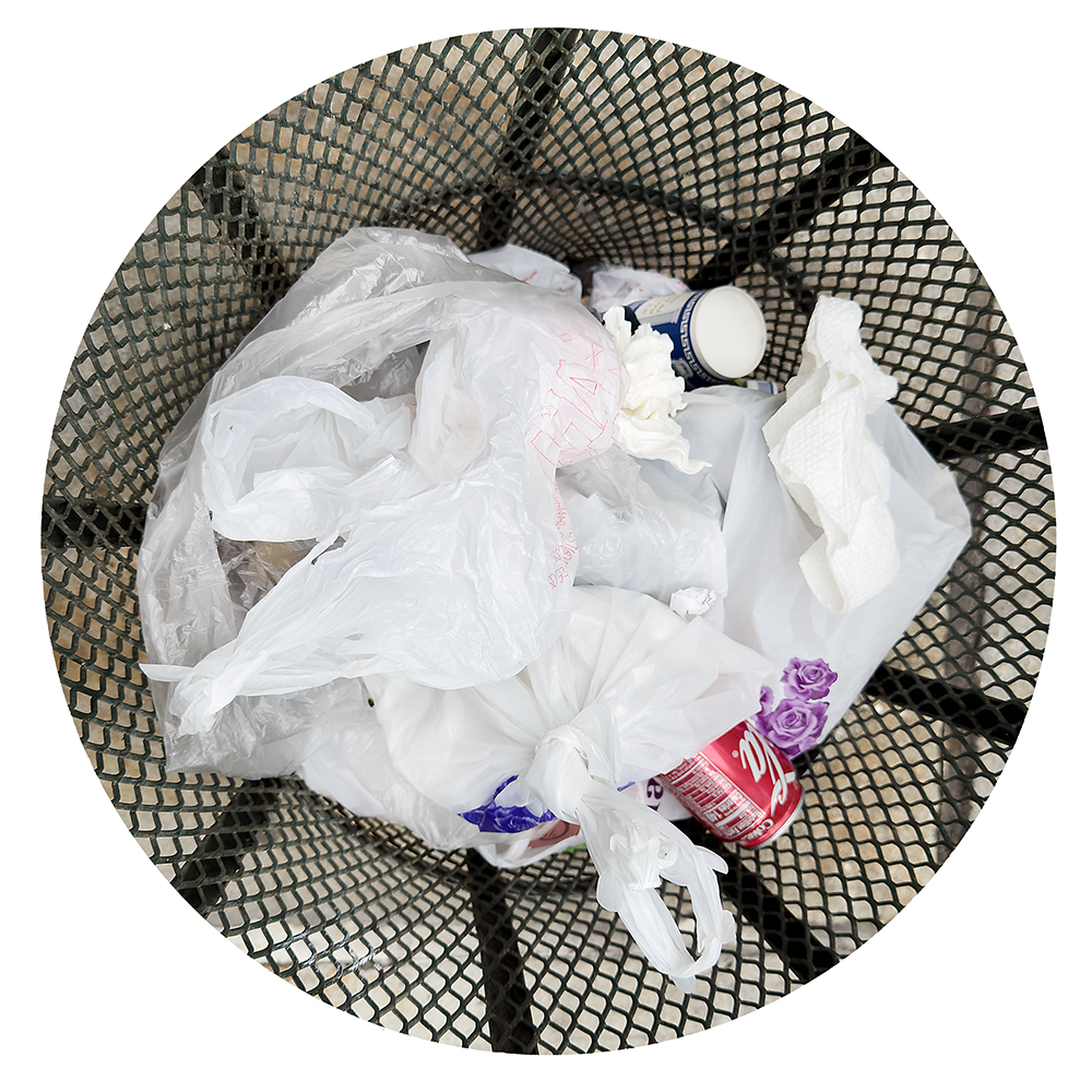 Trash NY 8.20.26_0337.png