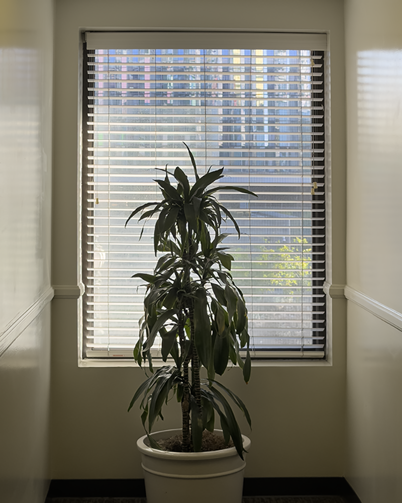 Hotel LA 8.7.26_9337.png