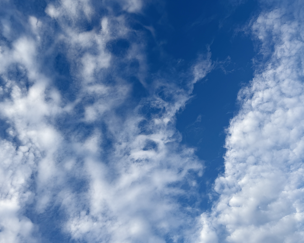SKIES 9.11.26_0922.png