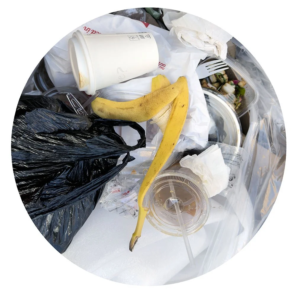TRASH NY 9.18.26_1584.jpg