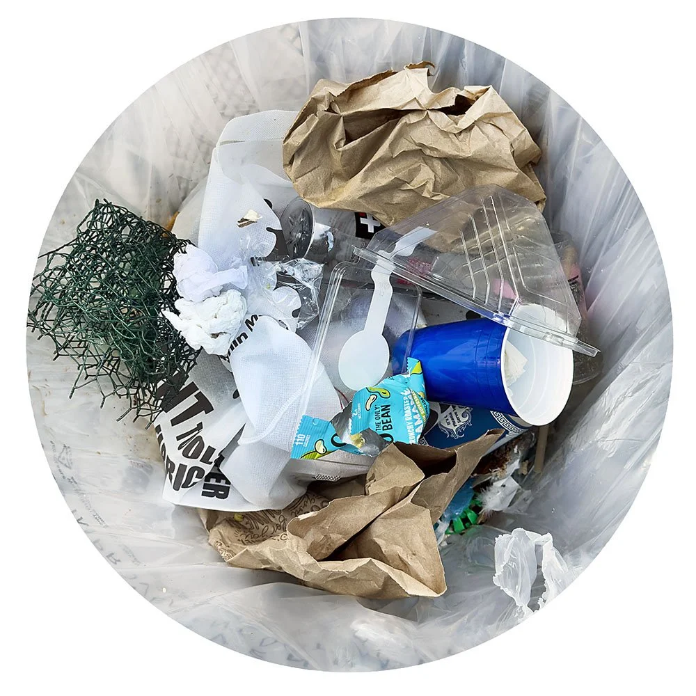 Trash NY 9.18.26_1622.jpg