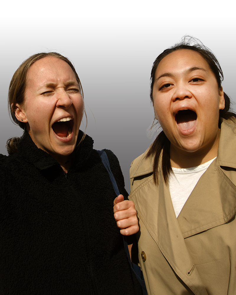 Scream Honk 10.10.26_7102.png