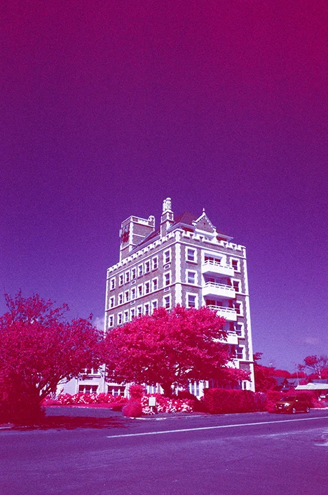 37280004.jpg