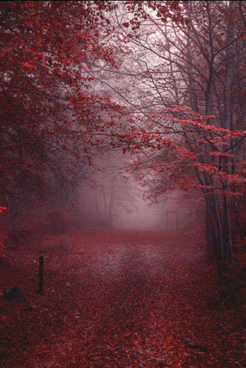 "A Feeling I Have Never Felt"