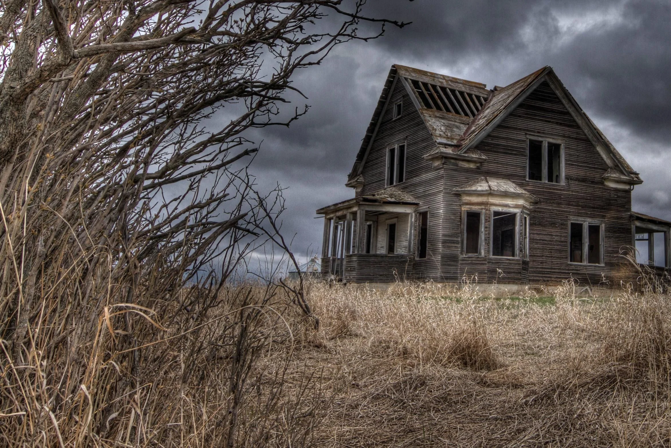 The Last House On The Left