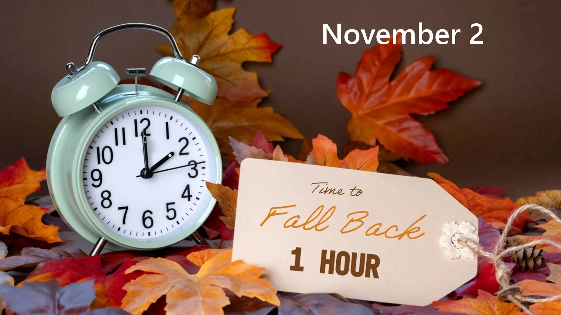 Fall Back 11-2.jpg