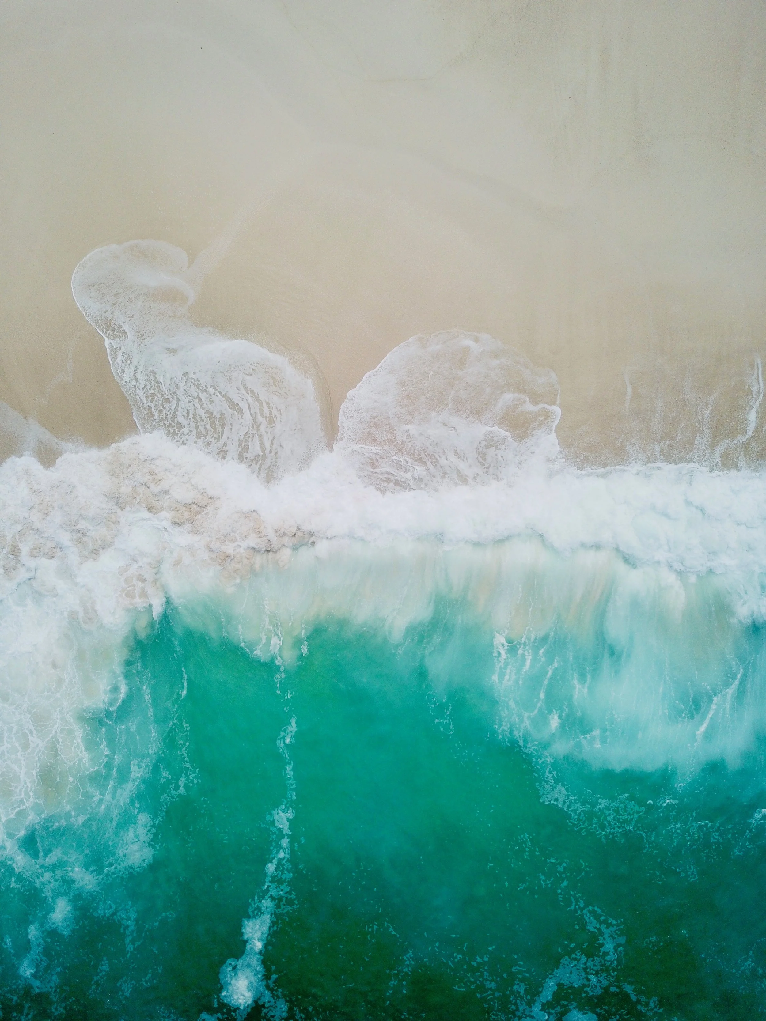 California Here We Come