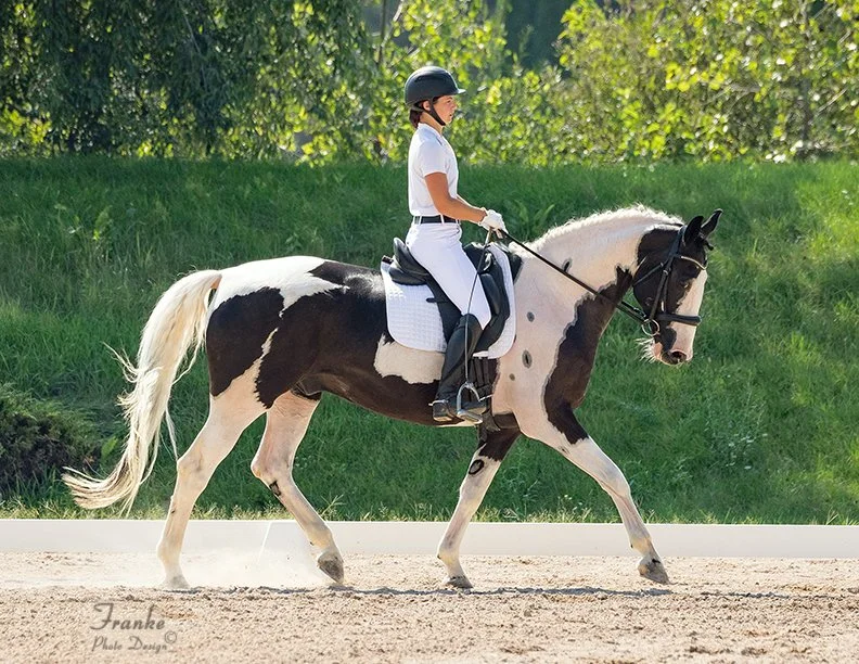 1-Day Rider Biomechanics Workshop