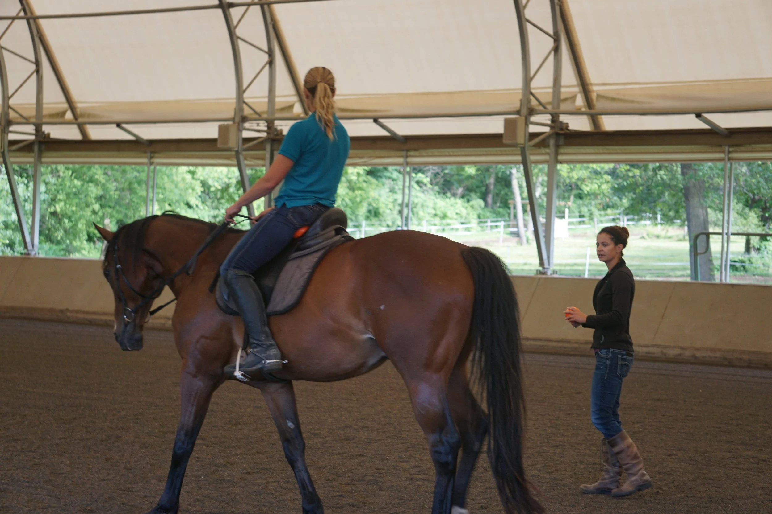 Knoxville, TN Rider Makeover Clinic