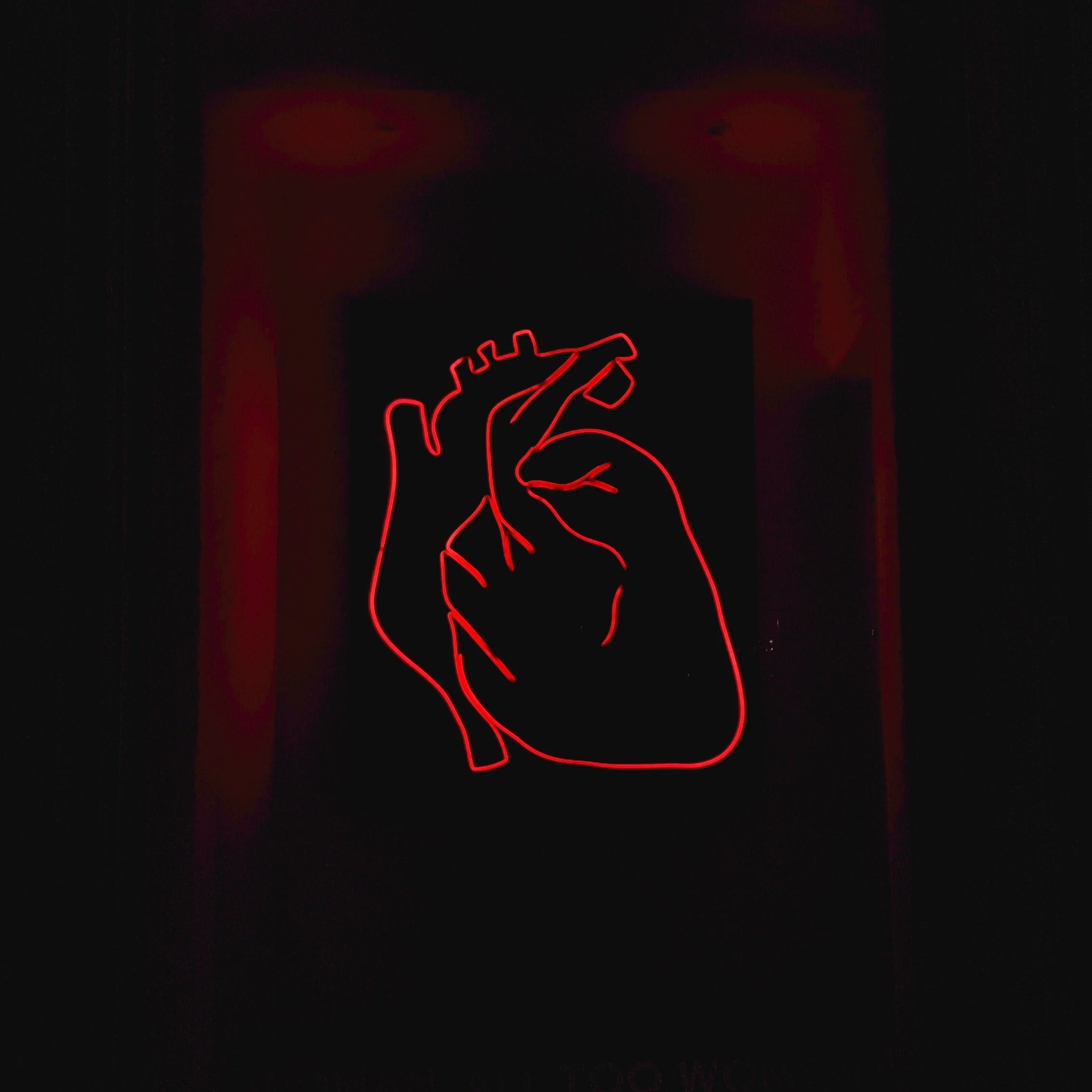 Haider Warraich: State of the Heart