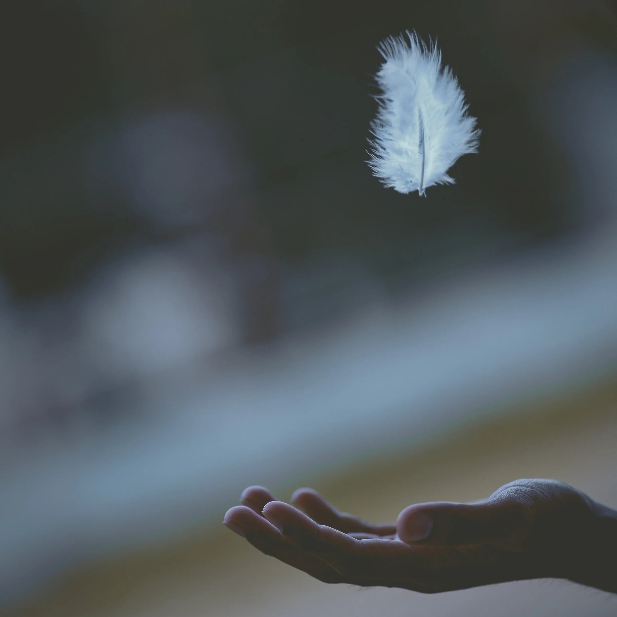 Emily Dickinson: "Hope" is the thing with feathers