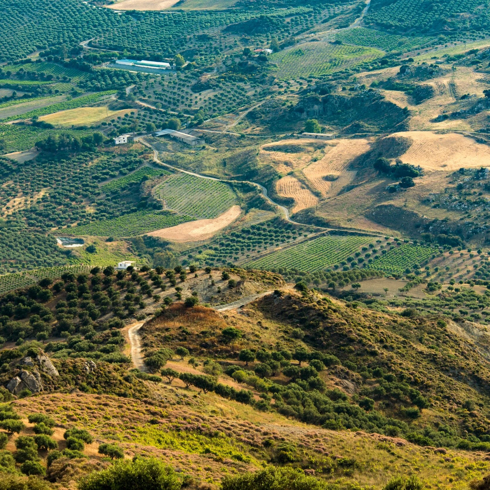 Sadiqa De Meijer: Red-Eye