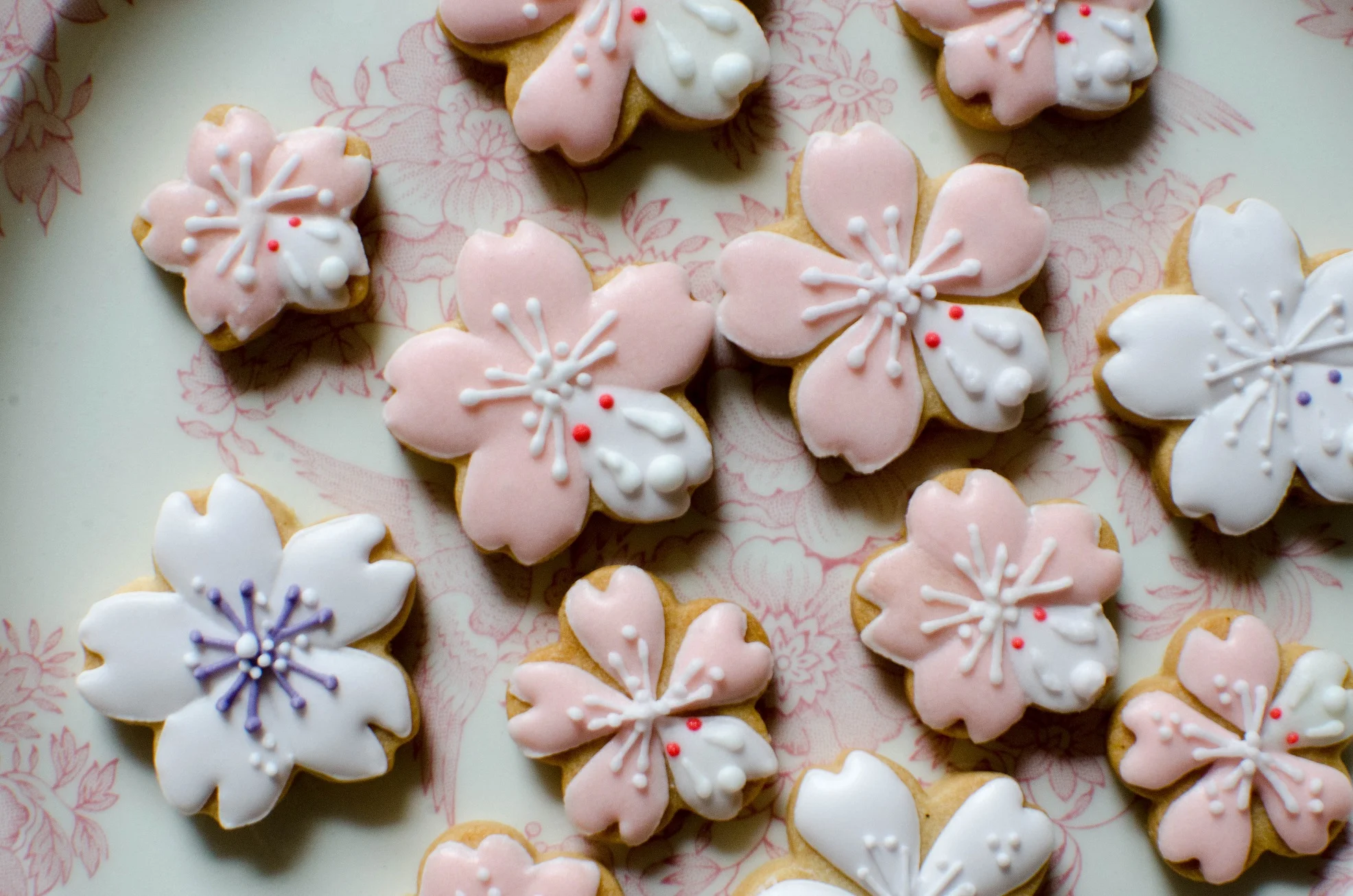 20190401-cookies-10-small.jpg