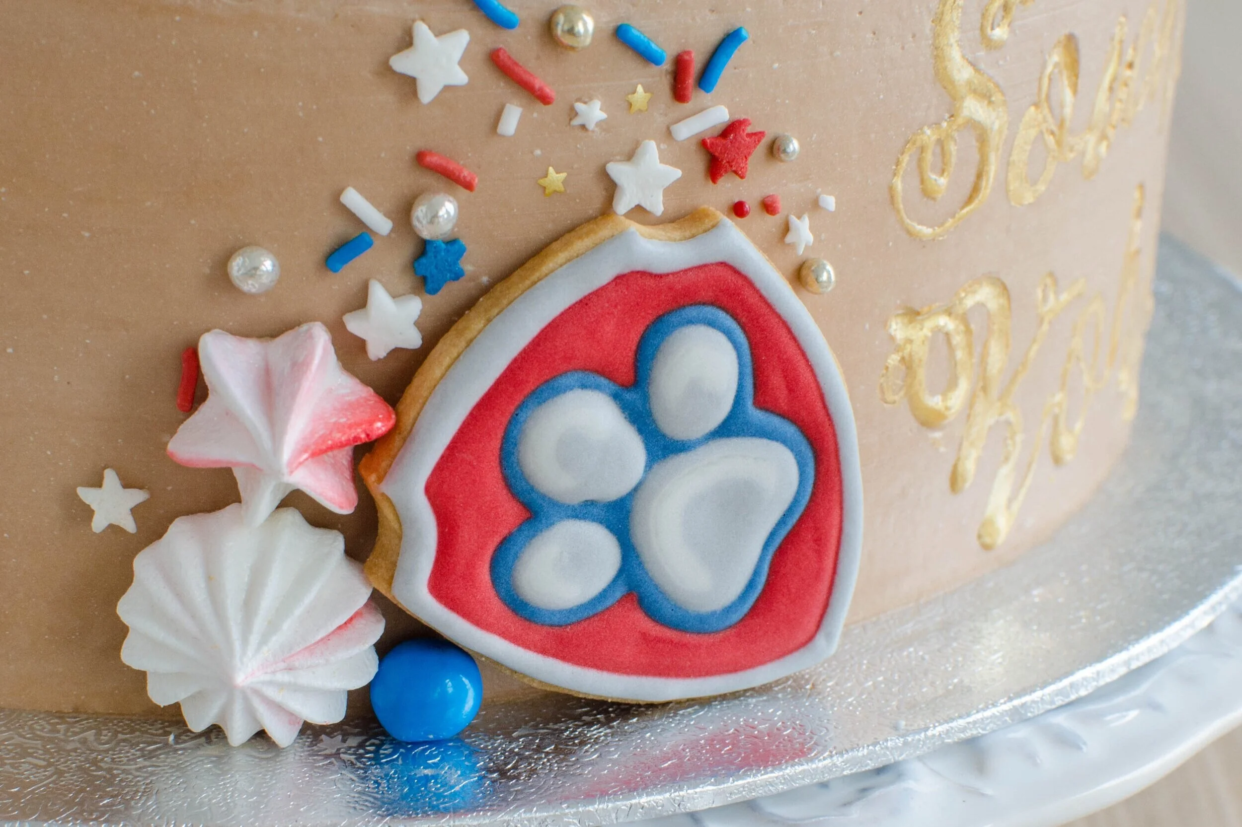 paw-patrol-31.jpg