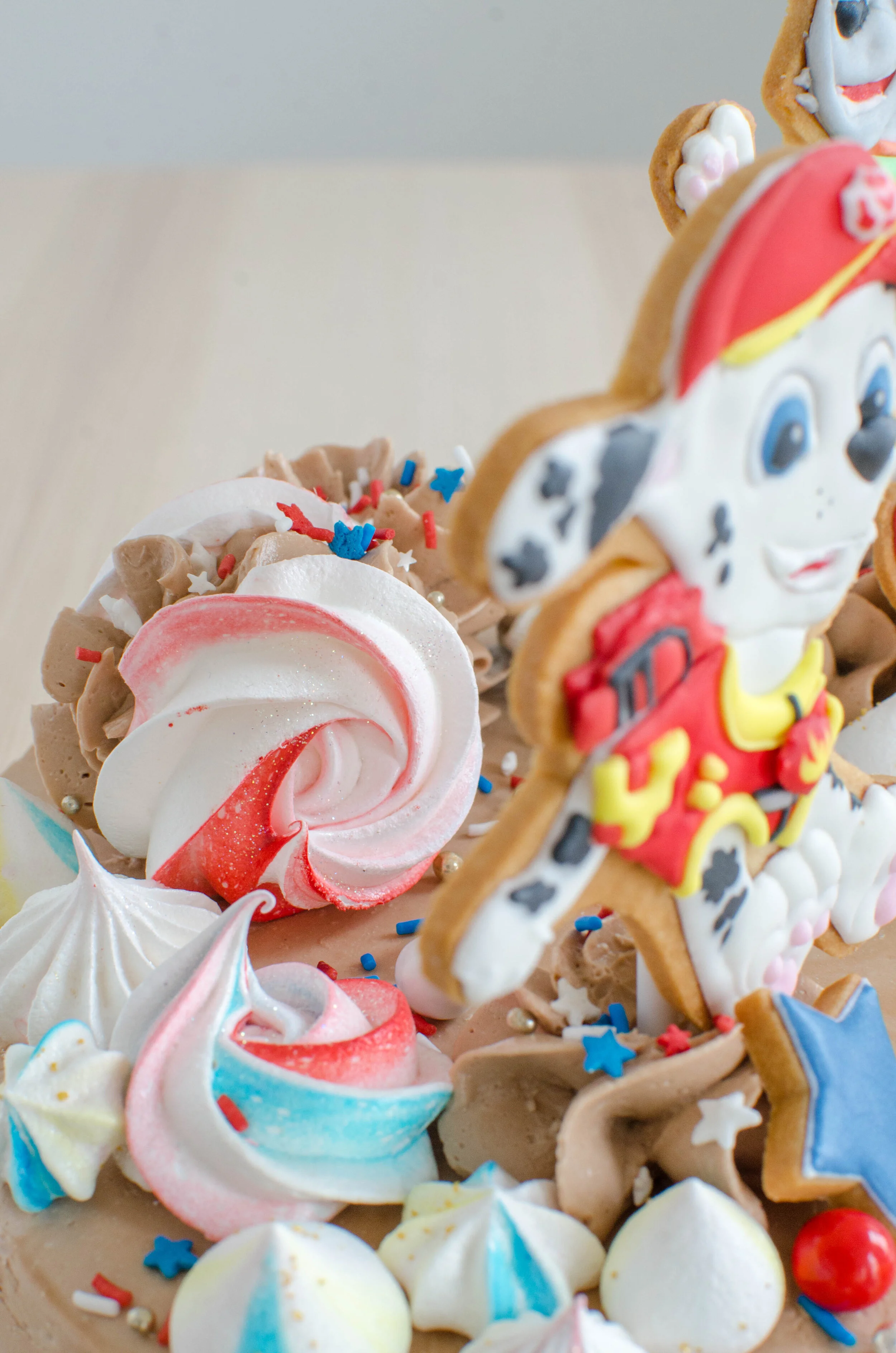 paw-patrol-47.jpg