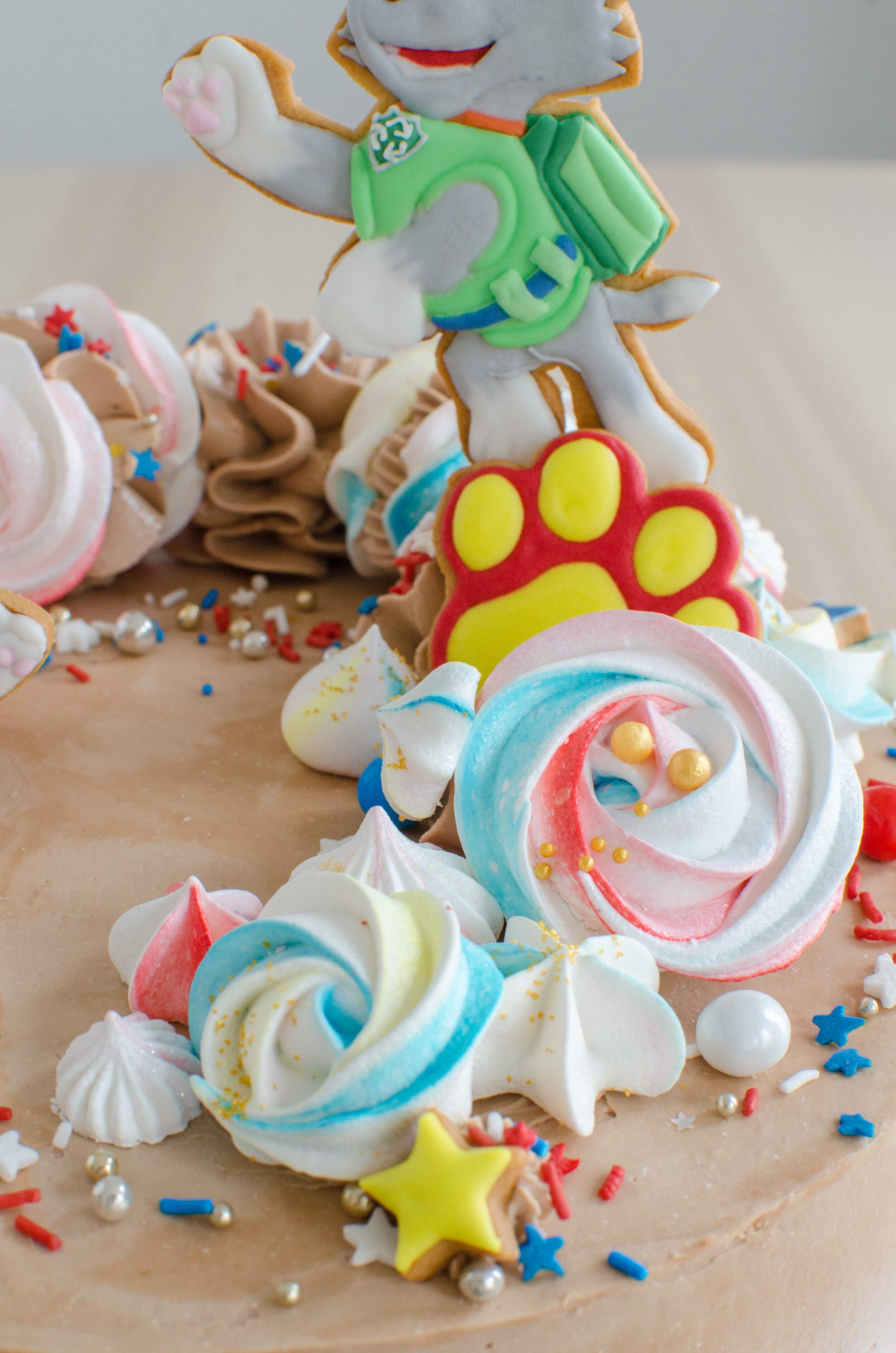 paw-patrol-46.jpg