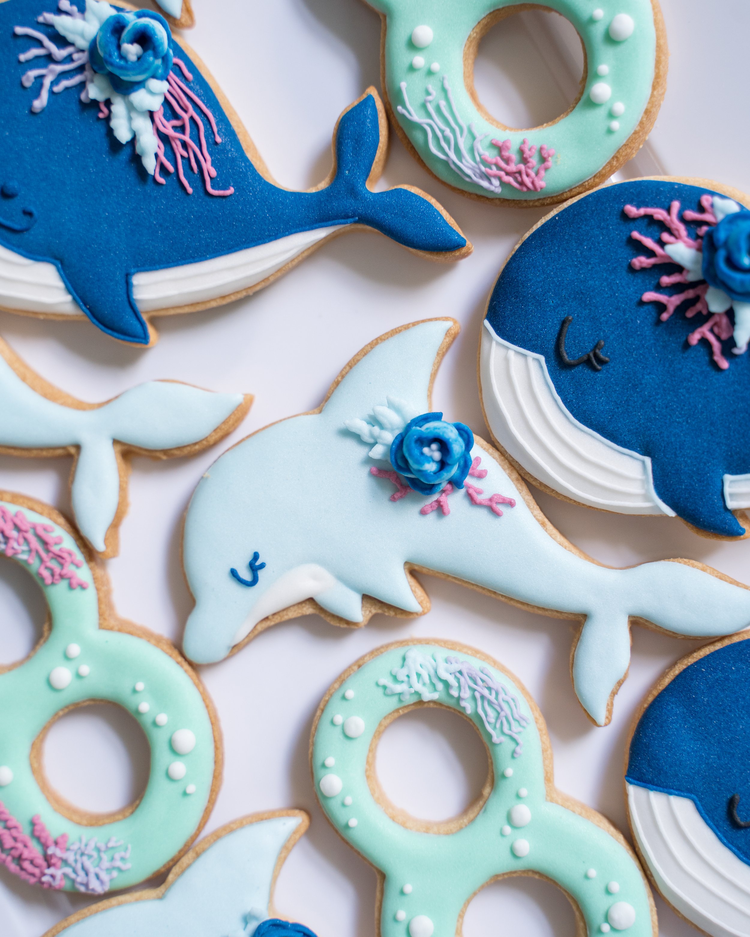 orca-birthday-party-134.jpg
