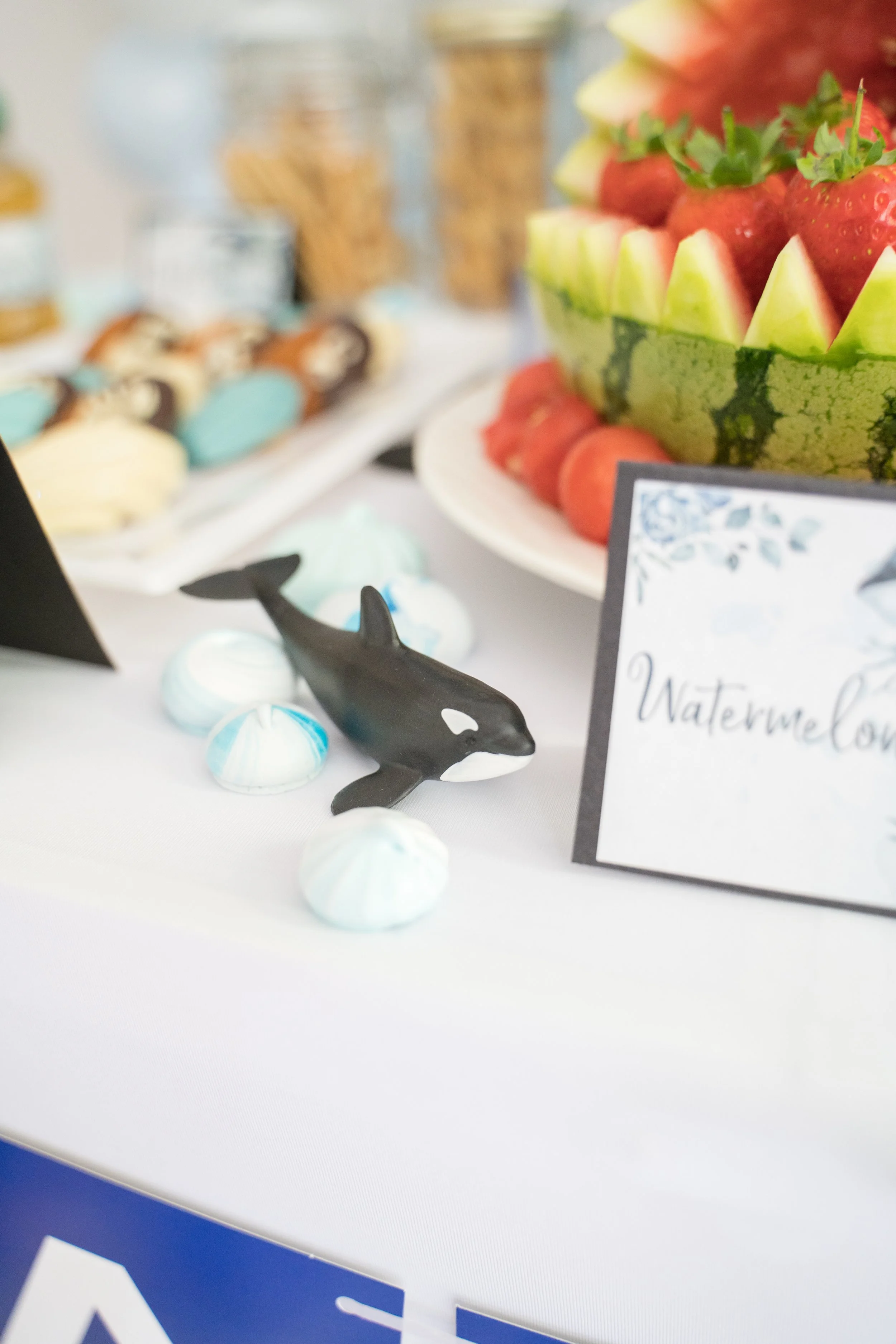orca-birthday-party-36.jpg