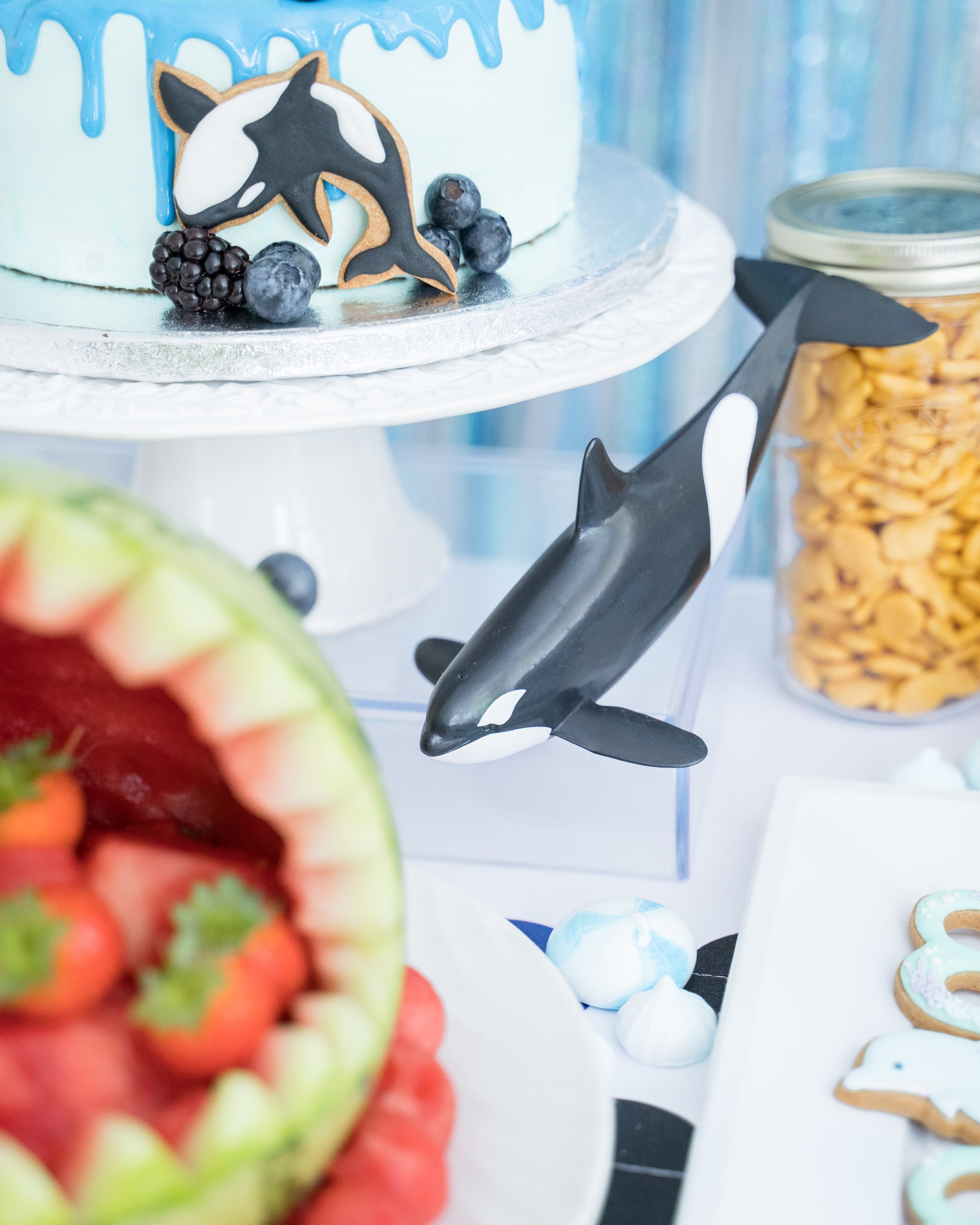 orca-birthday-party-42.jpg