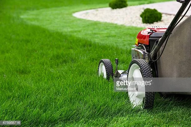 How to Maintain Your Grass