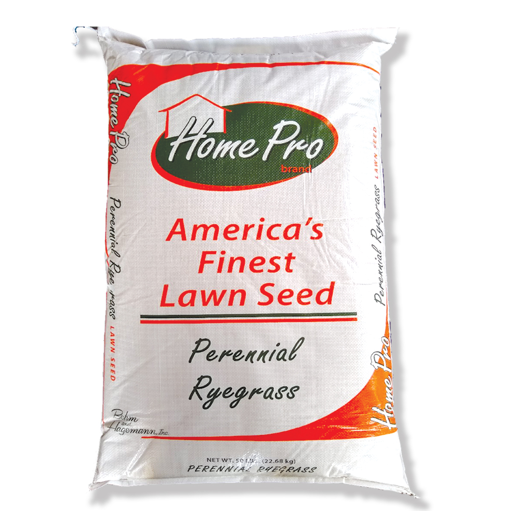 HOME PRO — Lifetyme Seed