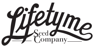 Lifetyme Seed 