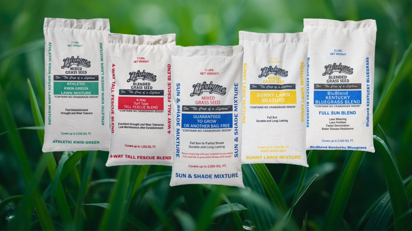 Lifetyme Signature Image.png