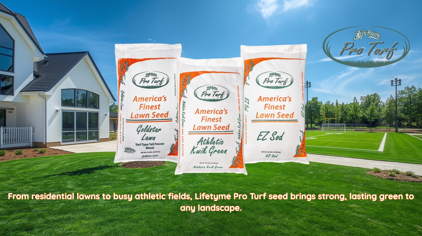 Lifetyme Pro Turf Image_1.png