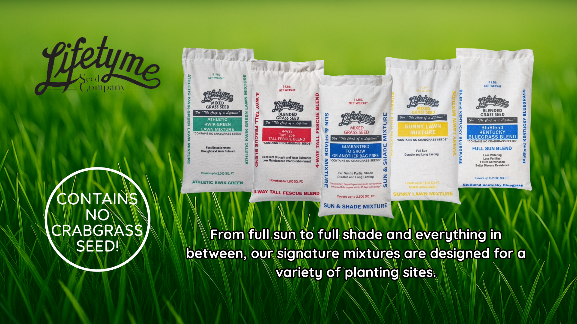 Lifetyme Signature Mixture_1.png