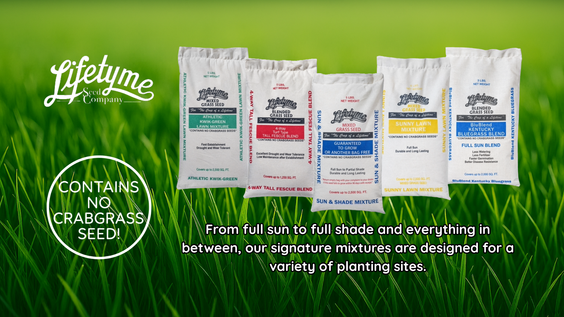 Lifetyme Signature Mixture_3.png