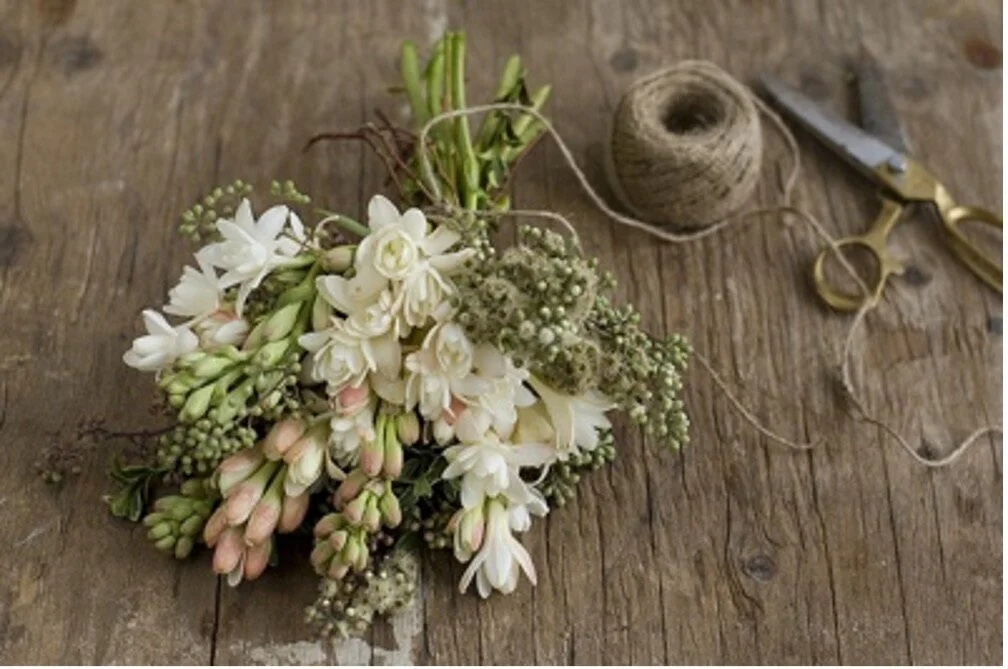 Dreaming of Spring (Flowers)