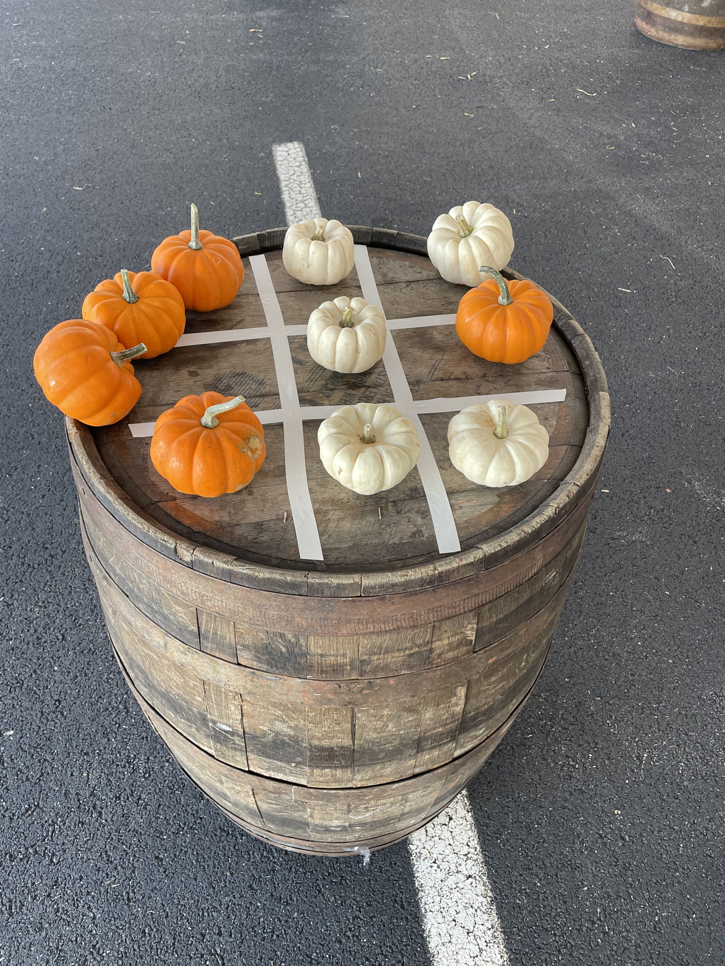 A Beautiful Day for a Fall Event