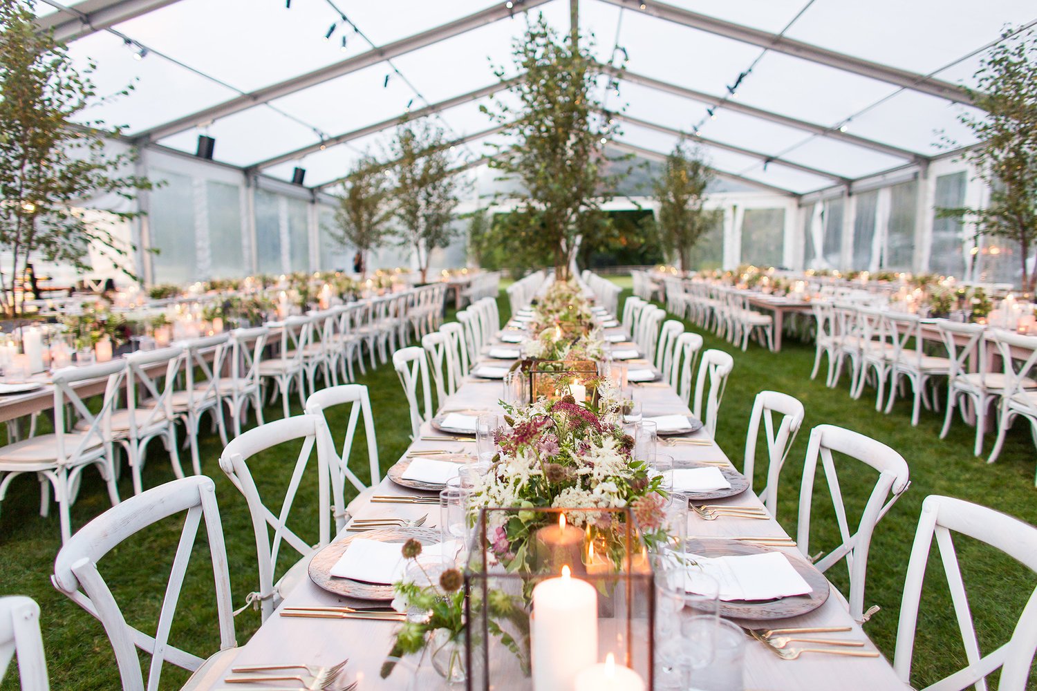 000_Garden+Wedding+Clear+Top+Tent_AE+Events.jpg
