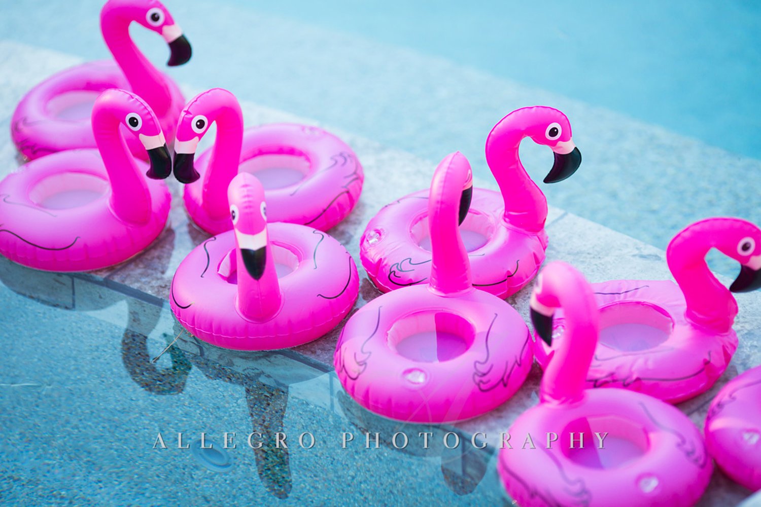 05_Private+Engagement+Party+Pool+Flamingos_AE+Events.jpg