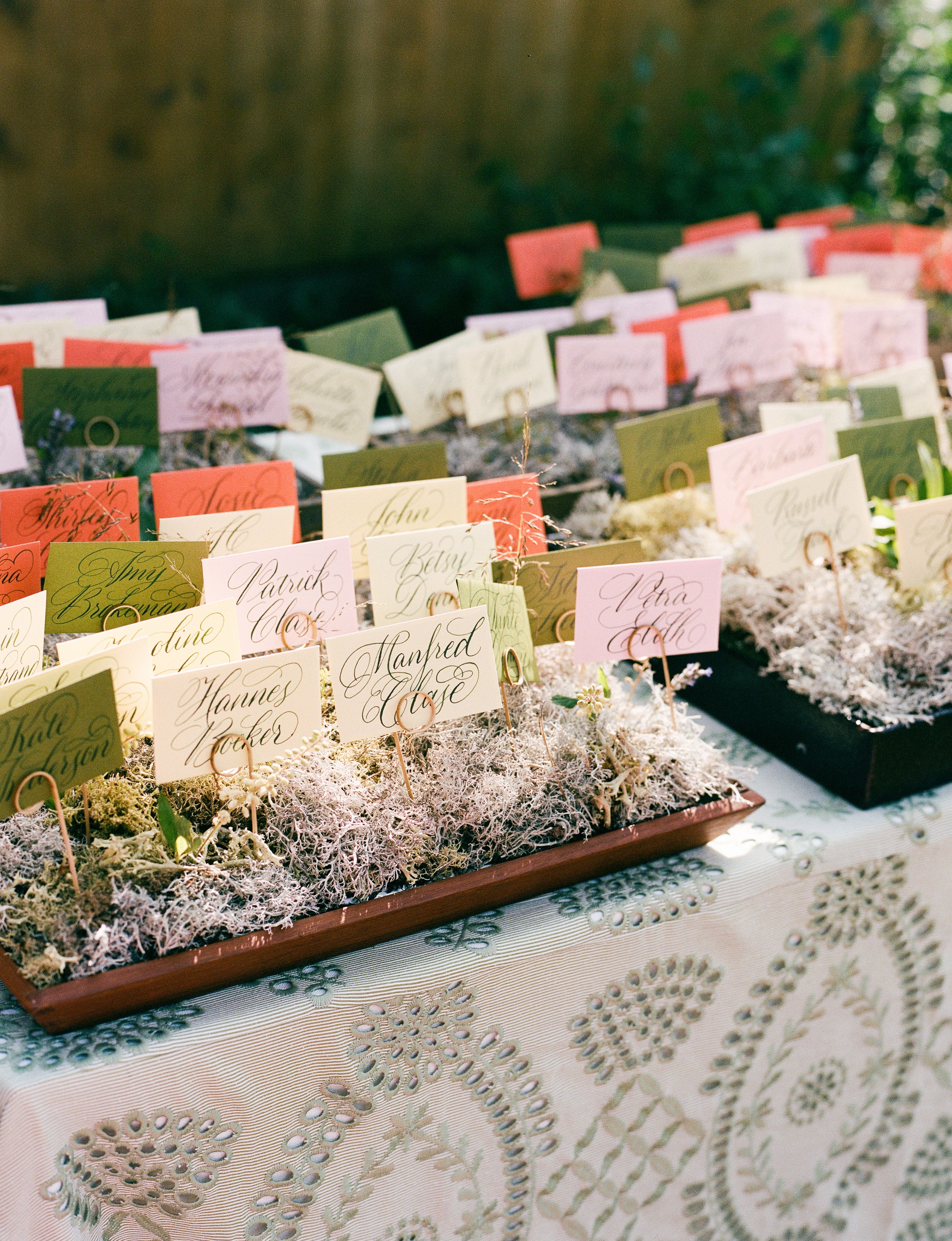 megbday_reception-15 (2).jpg