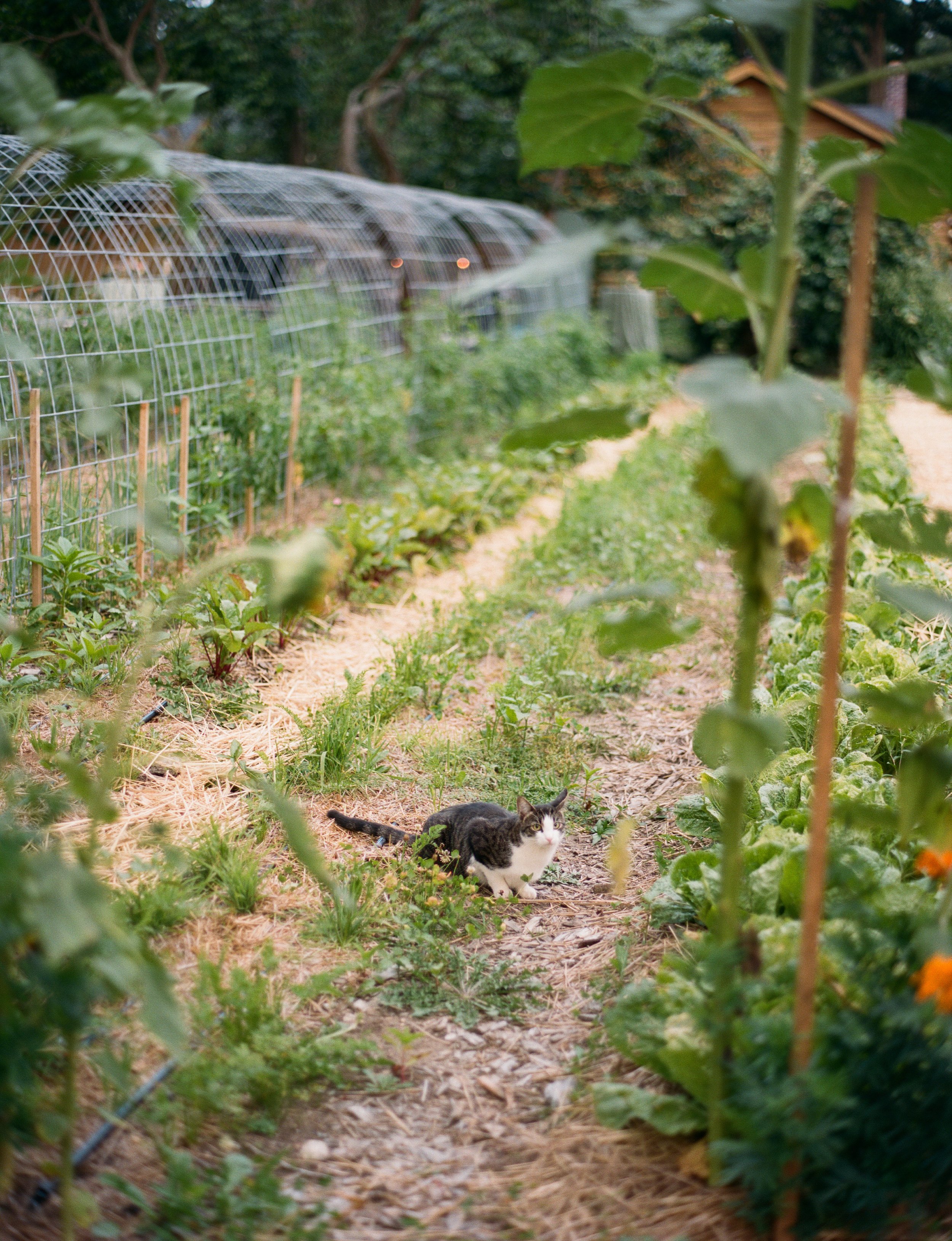 megbday_reception-187 (1).jpg