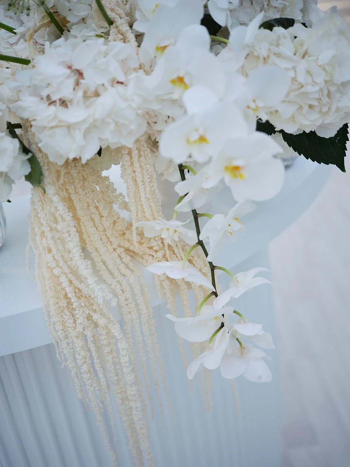 70thBdayDrooker 23.jpg