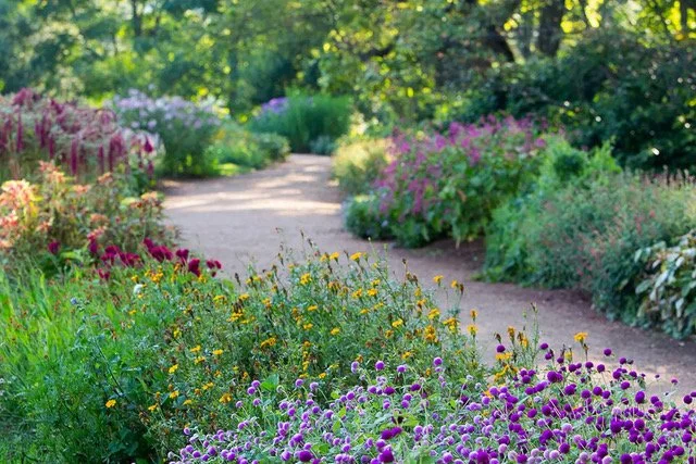 Coincidental Career Coaching