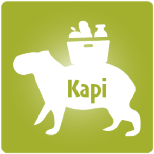 KAPI.png