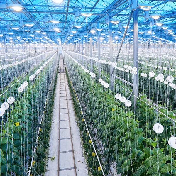 agritech.jpg