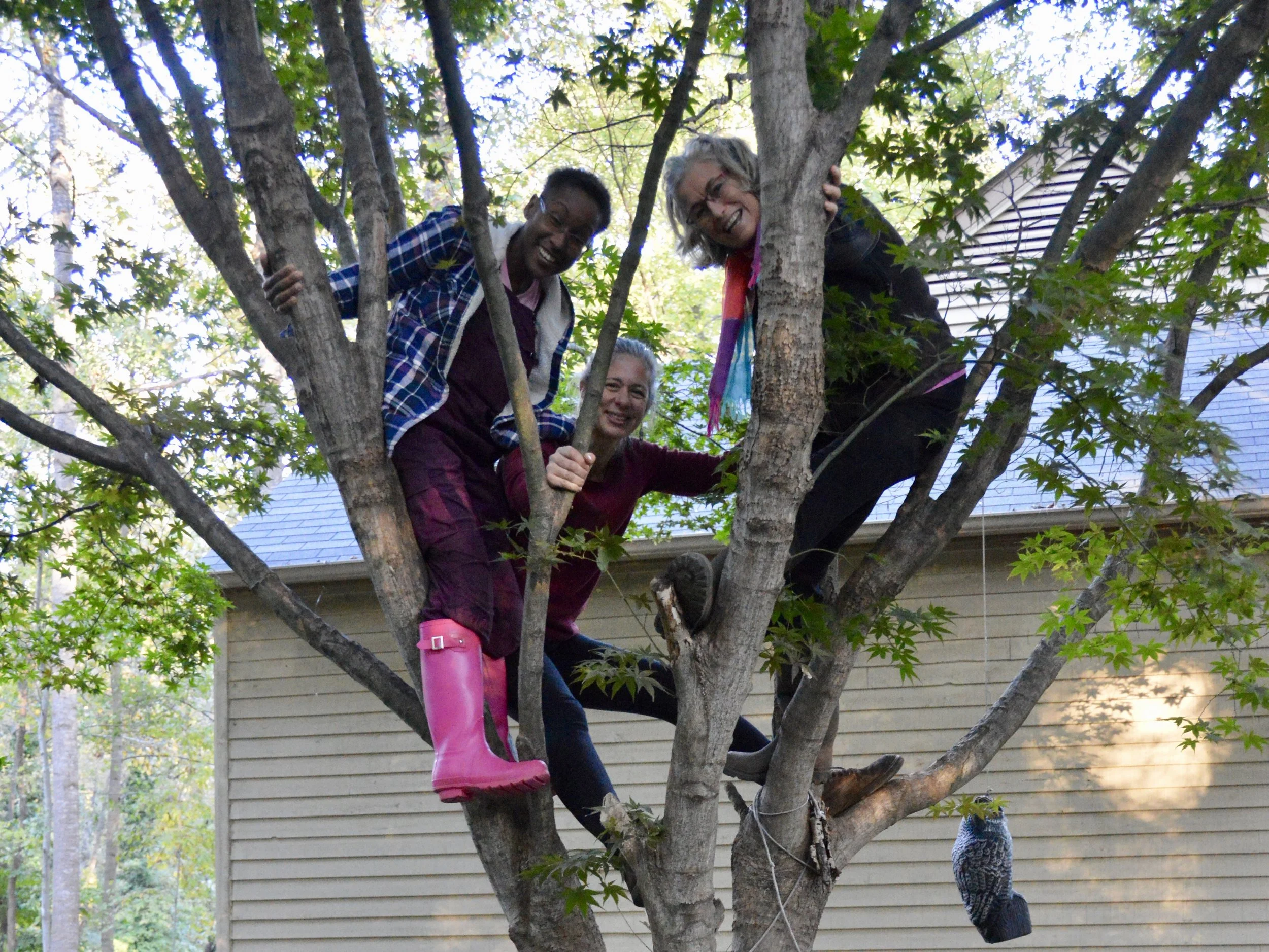 Karla, Cathie and MB in tree.jpeg