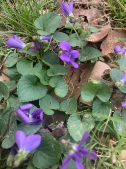 April Newsletter
