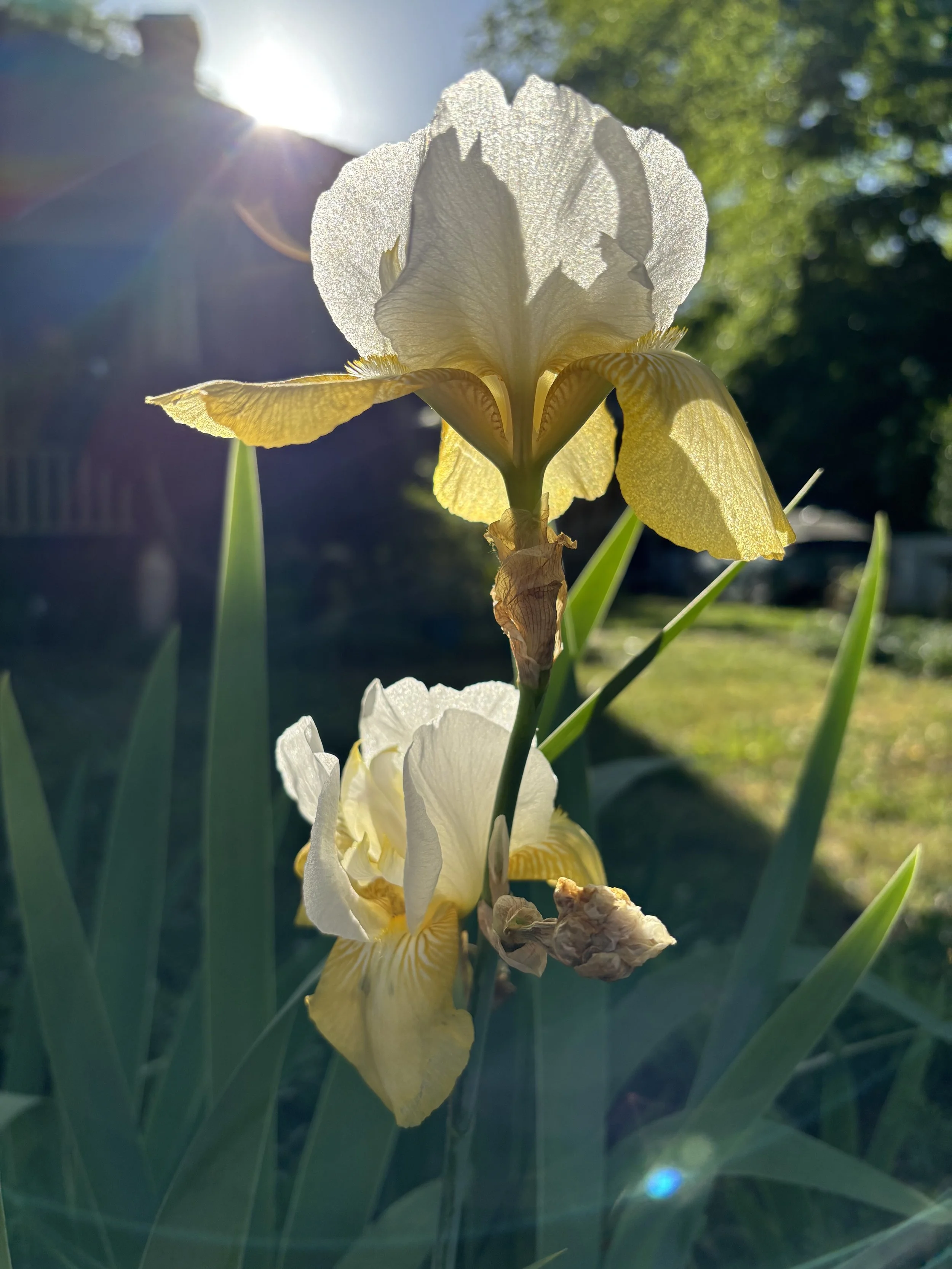 June Newsletter